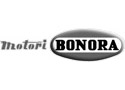 Bonora